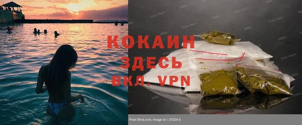 дурь Володарск
