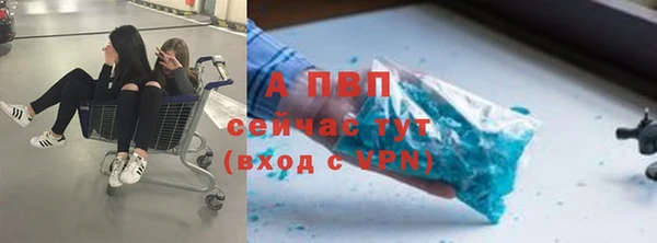 хмурый Пересвет