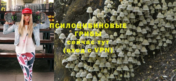 гашик Верхнеуральск