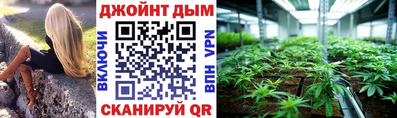 Бошки Шишки конопля  купить закладку  Камешково 